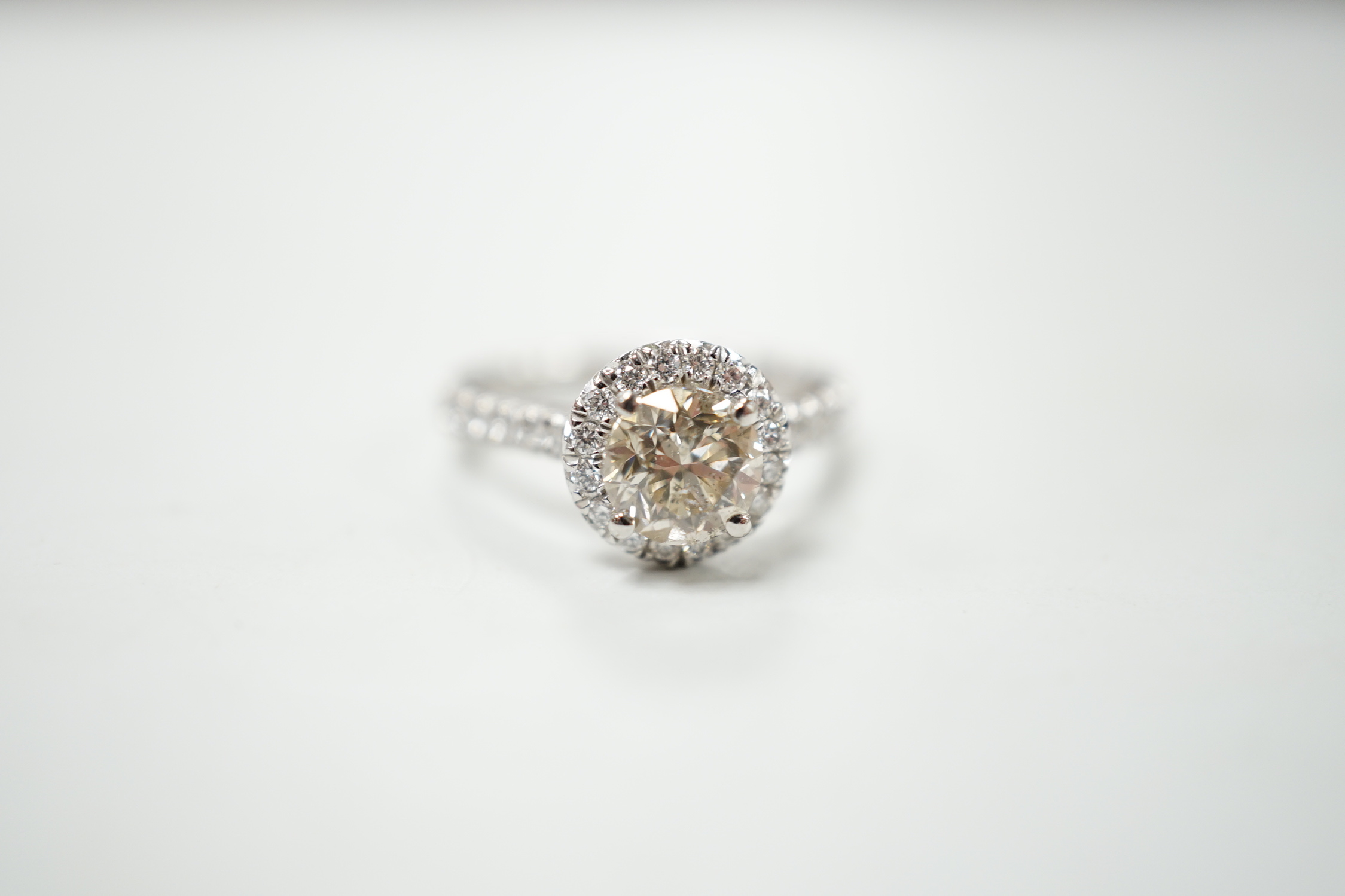 A modern platinum and single stone diamond set ring, with diamond chip set border and shoulders, size G, gross weight 4.2 rams.